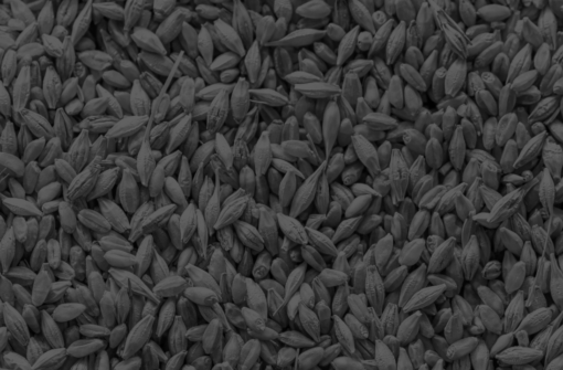 Bed Time Story: The Technical Categorization of Canadian Grain