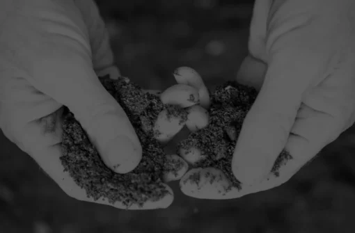 Sleep Aid: The USDA Textural Classification of Soil